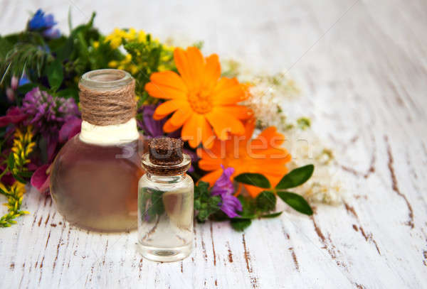 Dziki kwiat oleju naturalnych herb liści Zdjęcia stock © almaje