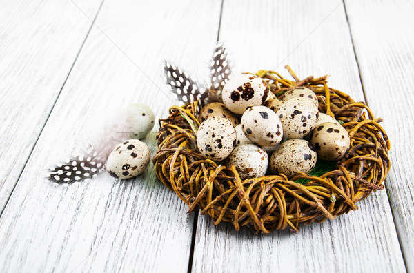 quail eggs in nest Stock photo © almaje