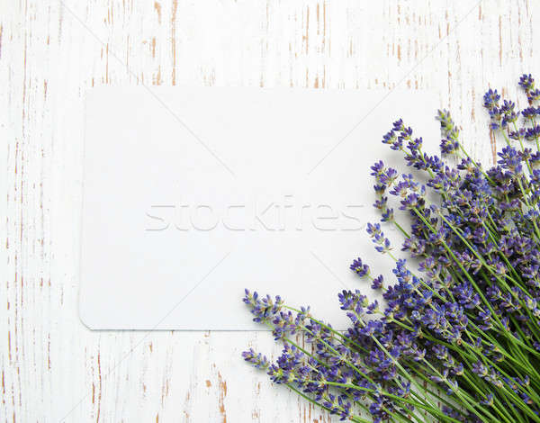 商業照片: 薰衣草 · 花卉 · 卡 · 老 · 木 · 紙