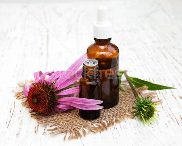 bottle with essence oil with purple echinacea Stock photo © almaje