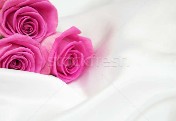 Roses blanche soie rose fleur fleurs [[stock_photo]] © almaje