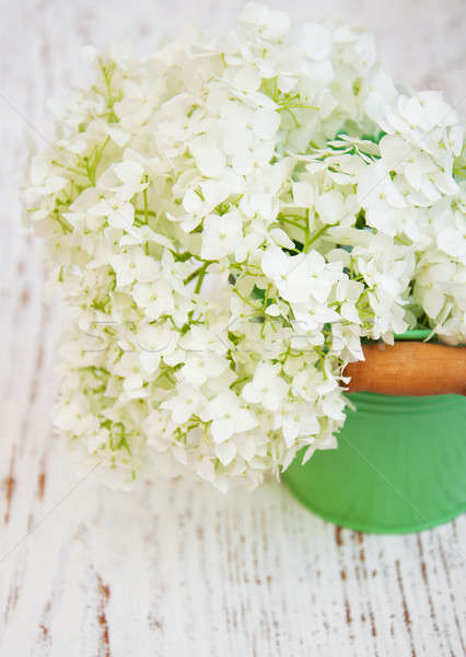 white hydrangea in a metal bucket Stock photo © almaje