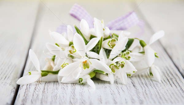 Stock photo: bouquet of snowdrops