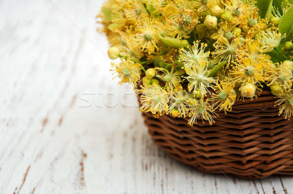 Hárs virágok öreg fából készült fa fa Stock fotó © almaje