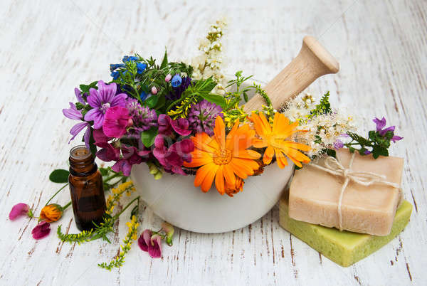 wild flower and herb leaf in mortar Stock photo © almaje