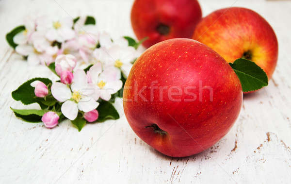 Pommes pommier fleurs bois alimentaire feuille [[stock_photo]] © almaje