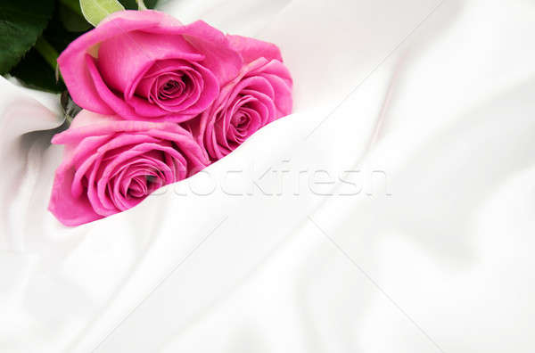 Rosas branco seda rosa flores amor Foto stock © almaje
