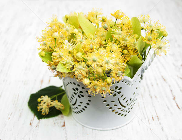 Linden flowers Stock photo © almaje