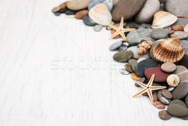 Foto stock: Cinza · pedras · conchas · starfish · velho