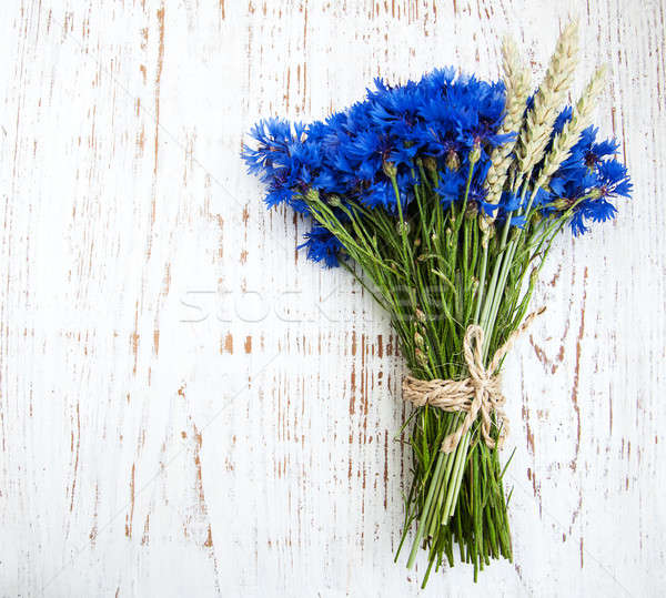 Niebieski starych biały kwiaty piękna Zdjęcia stock © almaje
