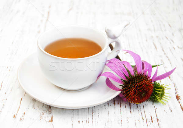 Cup of tea  with purple echinacea Stock photo © almaje