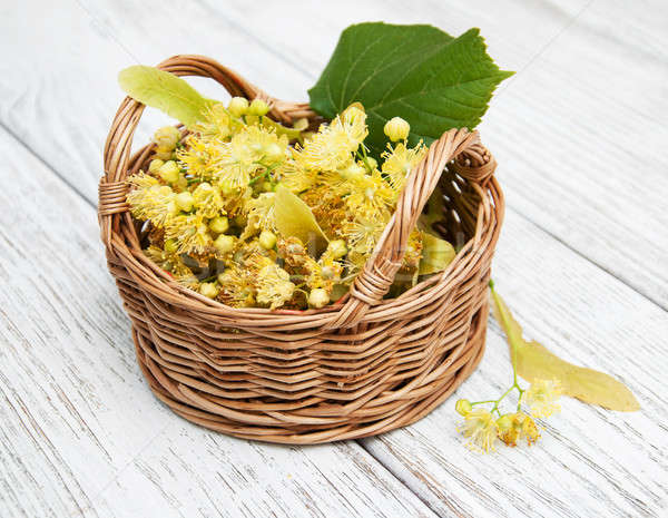basket with lime flowers Stock photo © almaje
