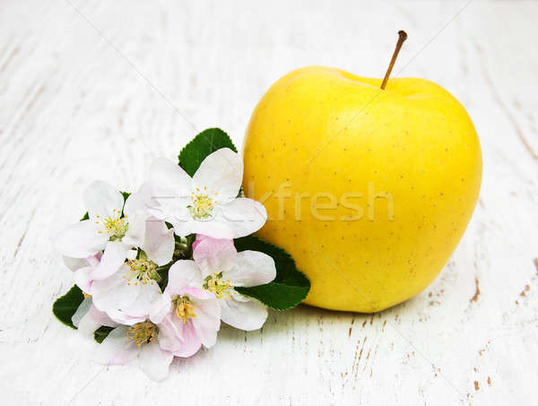 Mela melo fiori legno alimentare foglia Foto d'archivio © almaje