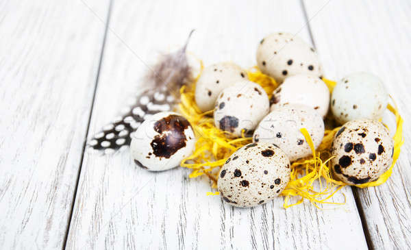 quail eggs in nest Stock photo © almaje