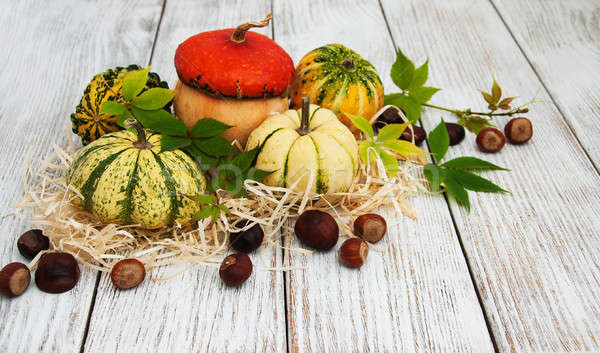 Calabazas hojas de otoño edad mesa de madera madera fondo Foto stock © almaje