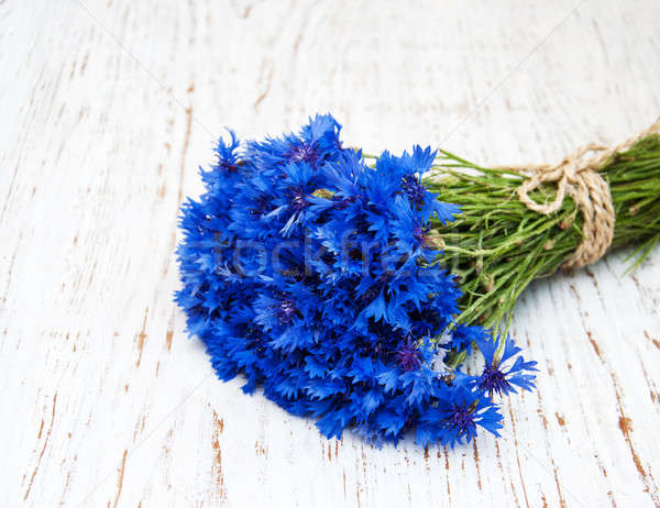 Stok fotoğraf: Mavi · eski · beyaz · ahşap · çiçekler · güzellik