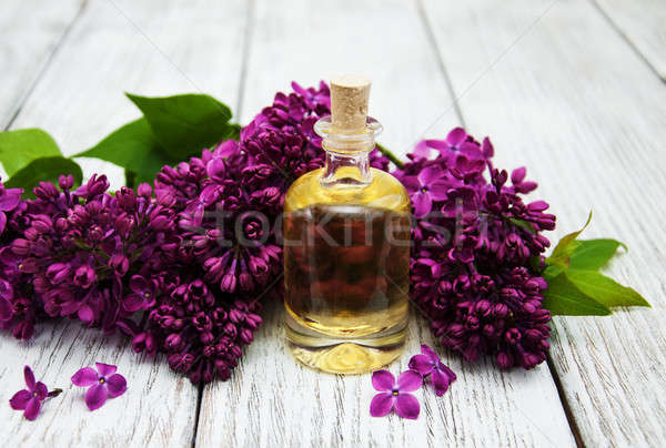 Foto stock: Esencial · petróleo · lila · flores · edad