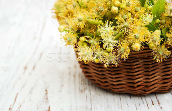 Bloemen oude houten boom hout Stockfoto © almaje