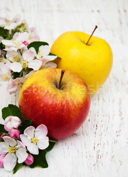 Äpfel Apfelbaum Blüten Holz Essen Blatt Stock foto © almaje