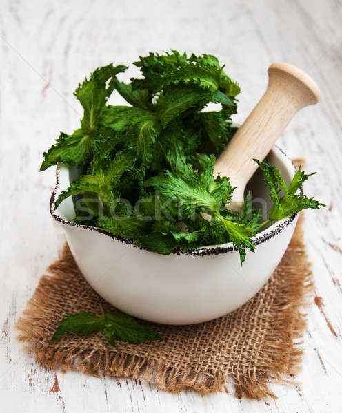 Mortar with green mint  Stock photo © almaje