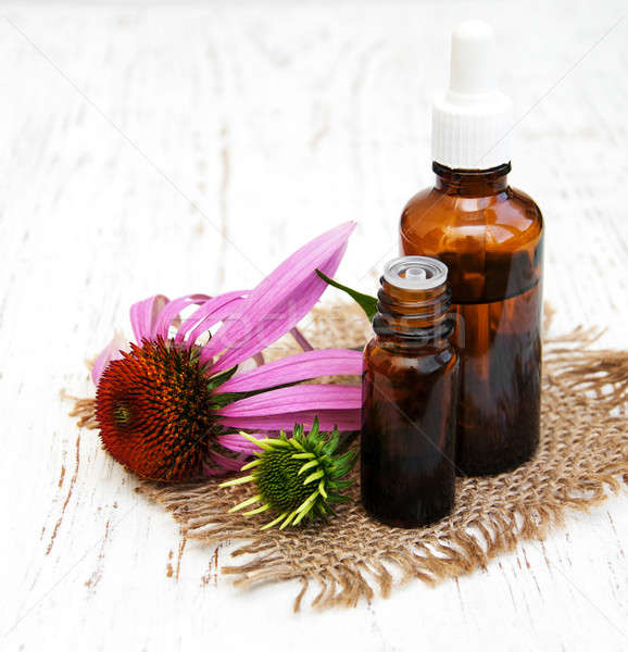 bottles with essence oil with purple echinacea Stock photo © almaje