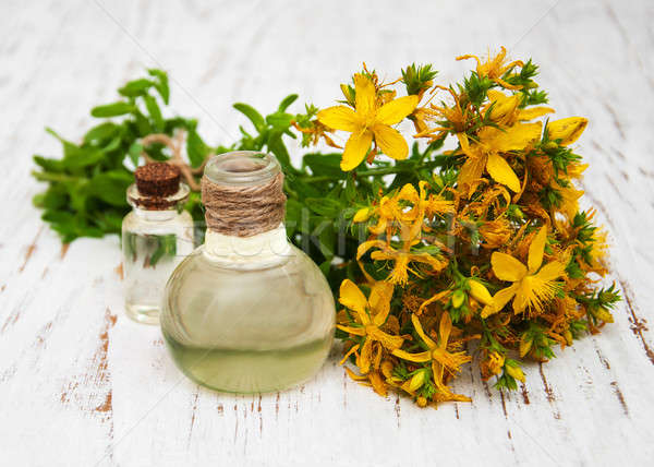 Tutsan flowers  and natural oil Stock photo © almaje