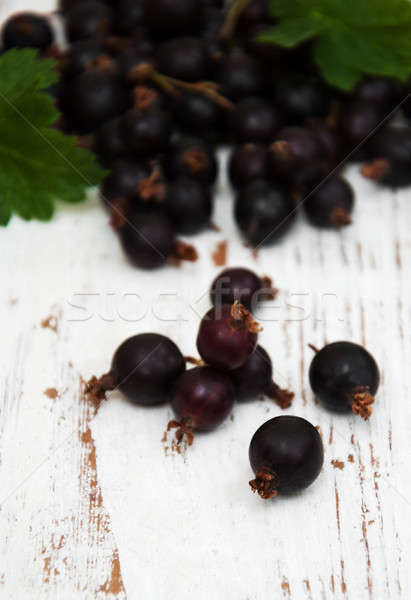 Fekete ribiszke fából készült étel természet levél Stock fotó © almaje