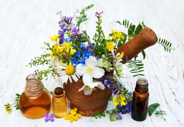 Natura olio fiori di campo vecchio legno fiore Foto d'archivio © almaje