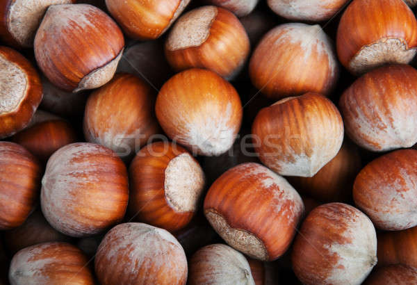 hazelnuts - food background Stock photo © almaje