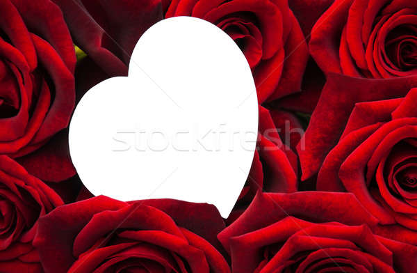 Red roses and greeting card Stock photo © almaje