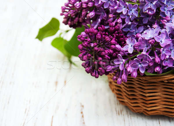 Lilac flowers Stock photo © almaje
