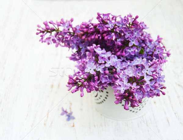 Lila flores edad naturaleza fondo Foto stock © almaje