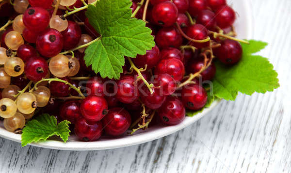 Plate with red currant Stock photo © almaje
