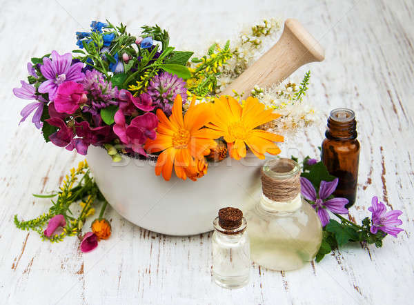 wild flower and herb leaf in mortar Stock photo © almaje