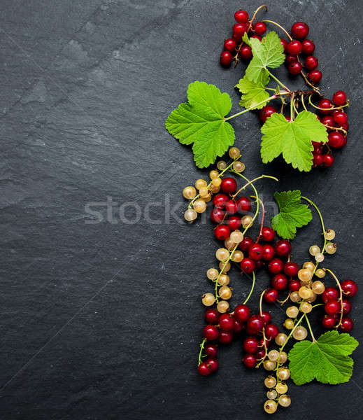 [[stock_photo]]: Rouge · groseille · laisse · noir · feuille · fruits