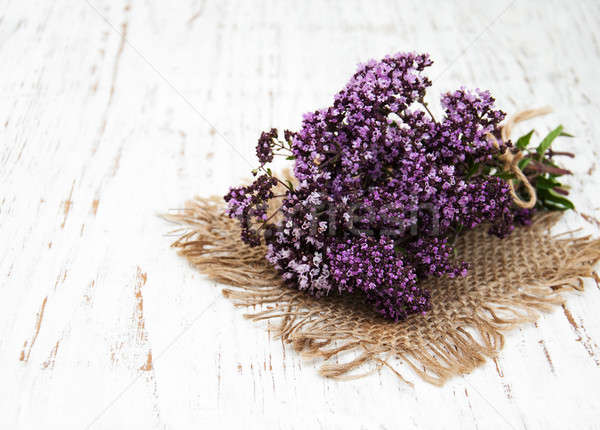 bunch of thyme herb Stock photo © almaje