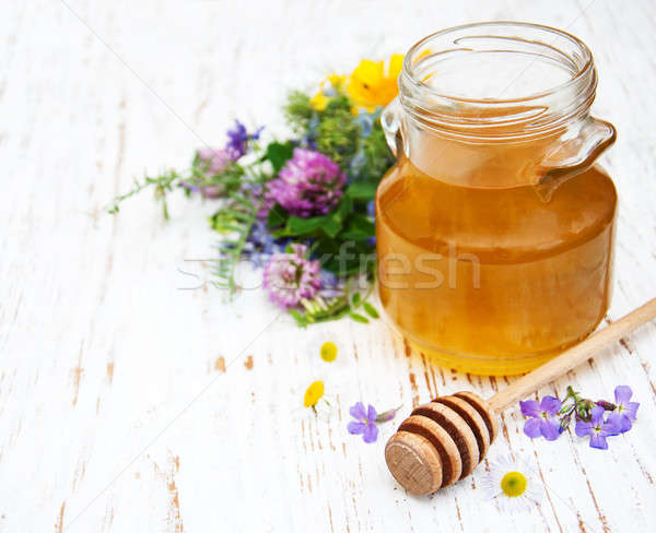 Foto stock: Mel · flores · silvestres · flor · primavera · madeira