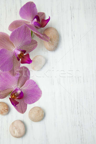 [[stock_photo]]: Orchidées · massage · pierres · bois · fleur · résumé