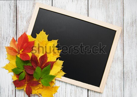 Autumn leaves on blackboard Stock photo © almaje