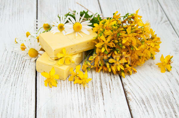 Stock photo: herbal  treatment - camomile, tutsan and soap