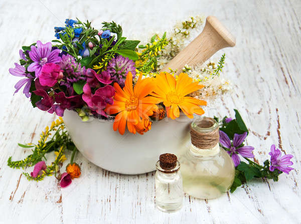 wild flower and herb leaf in mortar Stock photo © almaje