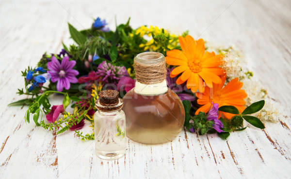Flor silvestre petróleo naturales hierba hoja Foto stock © almaje