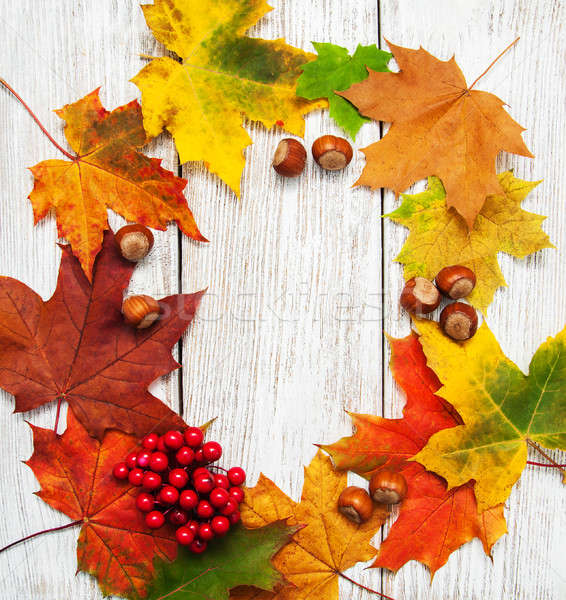 Colorful autumn leaves and hazelnuts Stock photo © almaje