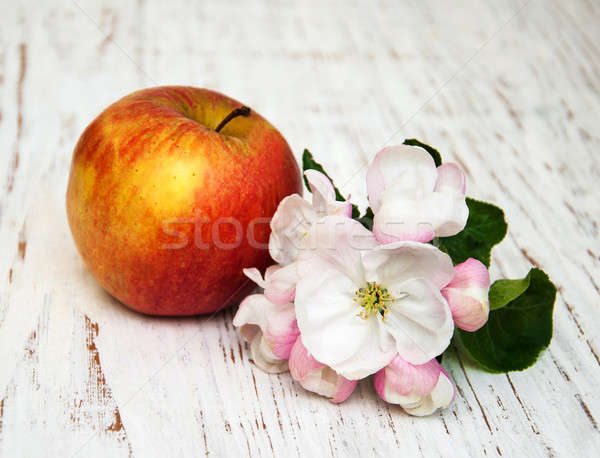 Stock photo: apple and apple tree blossoms