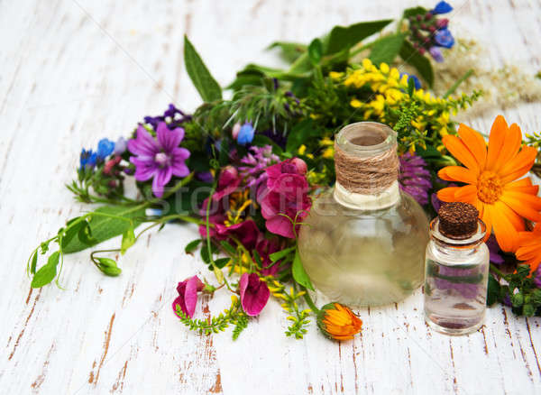 wild flower and oil Stock photo © almaje