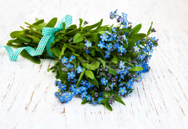 Forget-me-nots flowers Stock photo © almaje