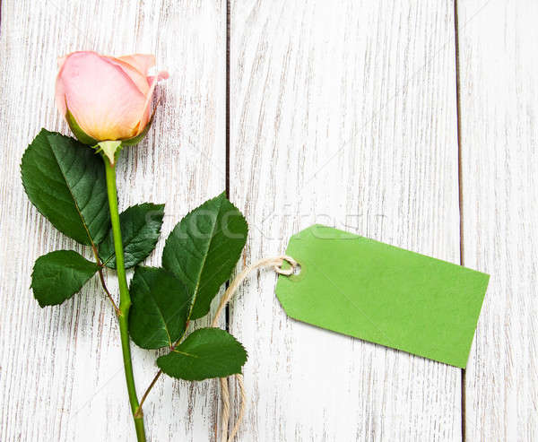 Rózsaszín rózsa zöld címke öreg fából készült tavasz Stock fotó © almaje