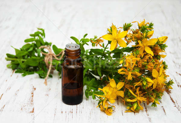 Tutsan flowers and natural oil  Stock photo © almaje