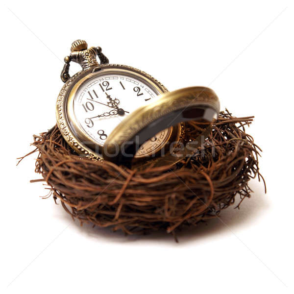 Tijd waardevol vogel horloge vintage Stockfoto © AlphaBaby