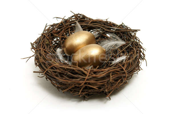 Altın yumurta yuva çok finansal kavramlar Stok fotoğraf © AlphaBaby